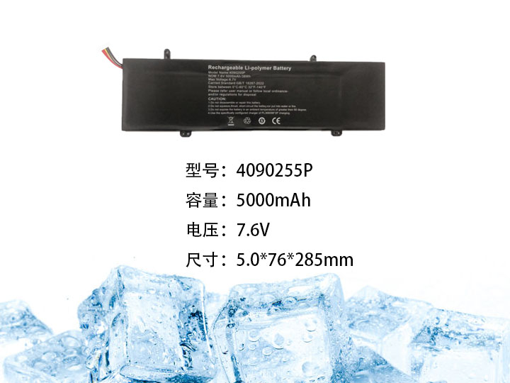 4090255P.jpg