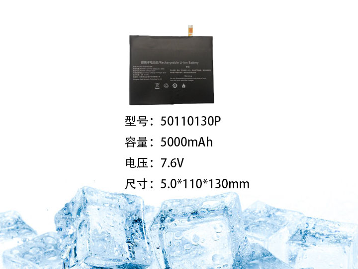 50110130P.jpg