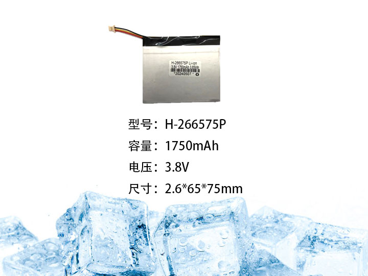 H-266575P.jpg