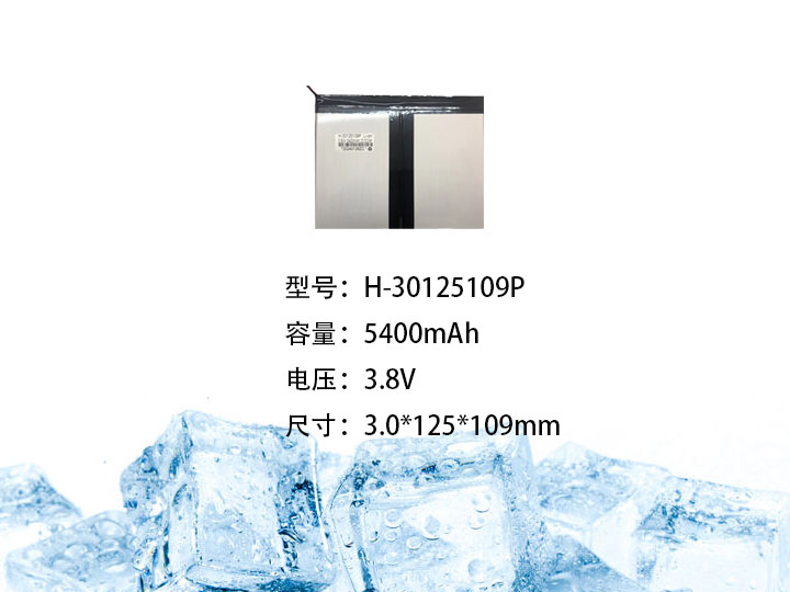 H-30125109P.jpg