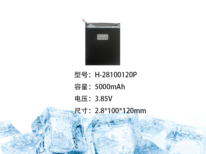 H-28100120P.jpg