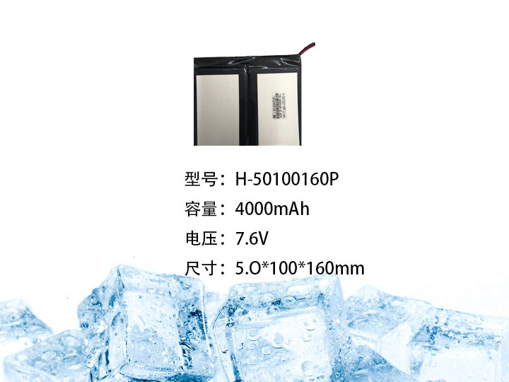 H-50100160P.jpg