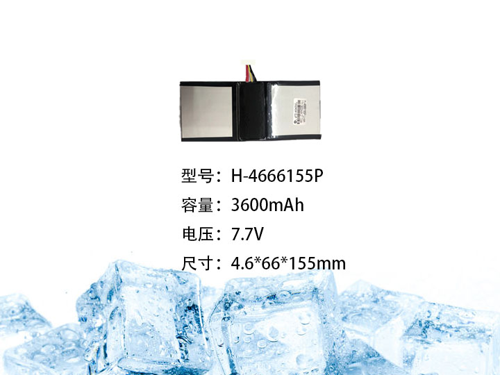 H-4666155P.jpg